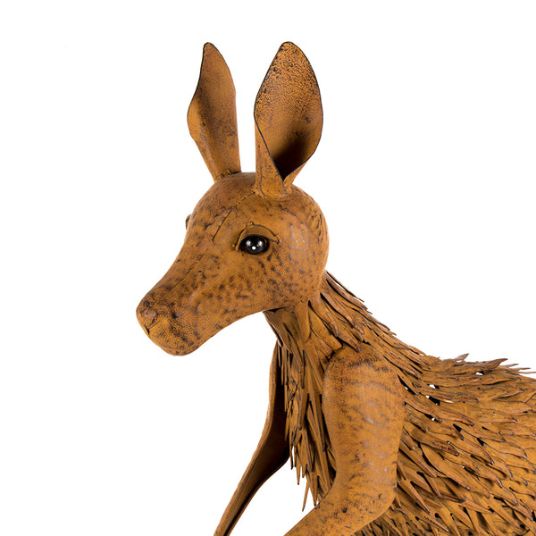 Kangaroo
