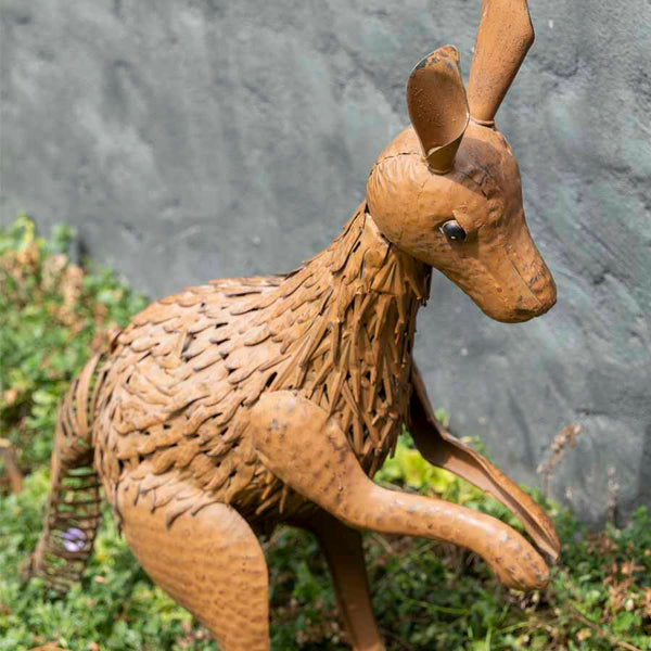 Kangaroo