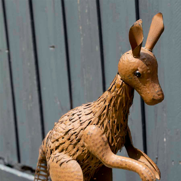 Kangaroo