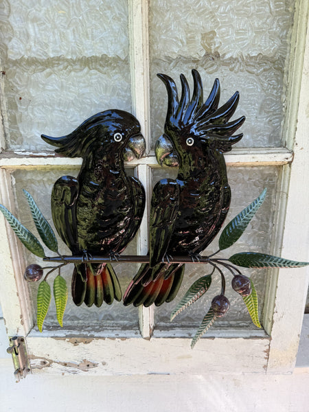 Black Cockatoos on a Branch