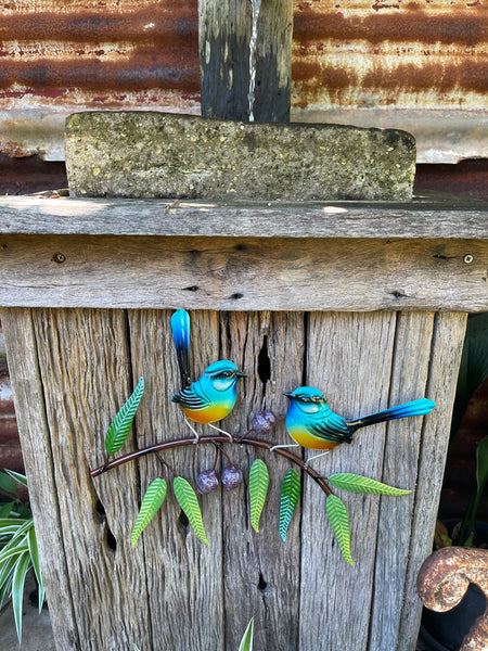 Blue Wrens with Gumnuts