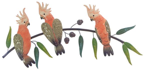 Pink Galah Trio on a Gumtree Branch