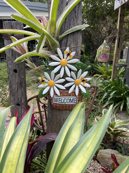 Daisies and Bees with Welcome