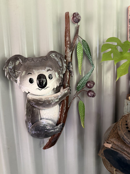 Koala in a Gumtree