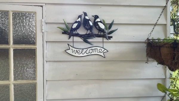 Magpie Melody with Welcome